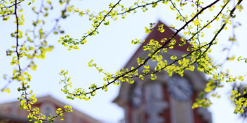 恒峰g22 - 官方网站 -- 天天有惊喜