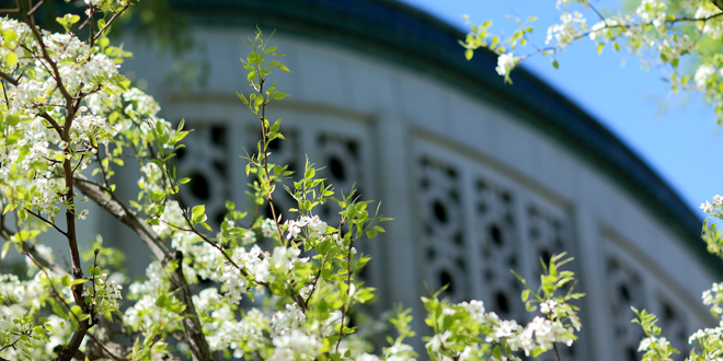 恒峰g22 - 官方网站 -- 天天有惊喜