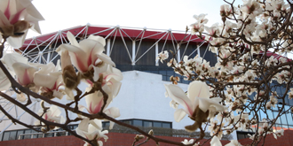 恒峰g22 - 官方网站 -- 天天有惊喜