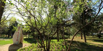 恒峰g22 - 官方网站 -- 天天有惊喜