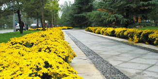 恒峰g22 - 官方网站 -- 天天有惊喜