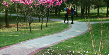 恒峰g22 - 官方网站 -- 天天有惊喜