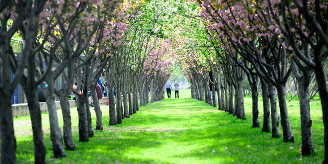恒峰g22 - 官方网站 -- 天天有惊喜