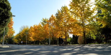 恒峰g22 - 官方网站 -- 天天有惊喜