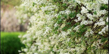 恒峰g22 - 官方网站 -- 天天有惊喜