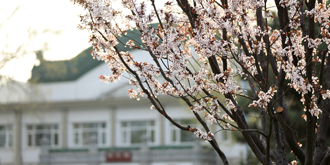 恒峰g22 - 官方网站 -- 天天有惊喜