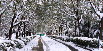 恒峰g22 - 官方网站 -- 天天有惊喜