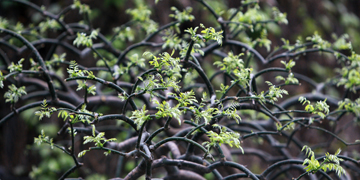 恒峰g22 - 官方网站 -- 天天有惊喜