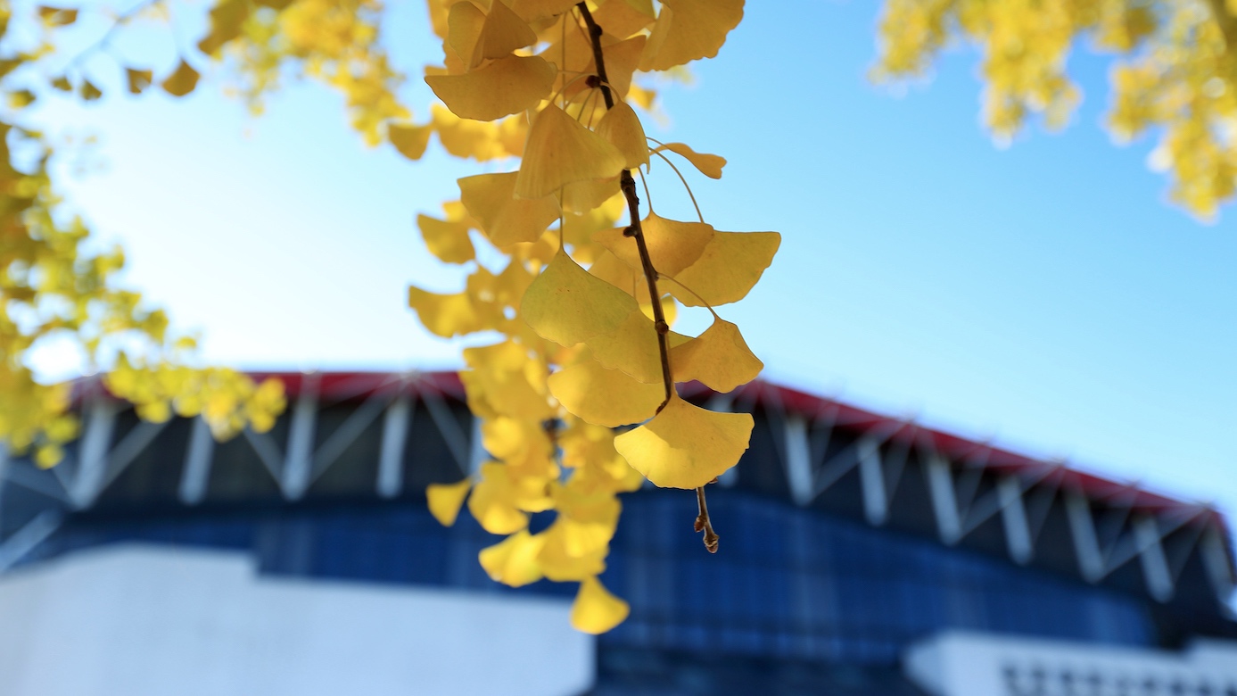 恒峰g22 - 官方网站 -- 天天有惊喜