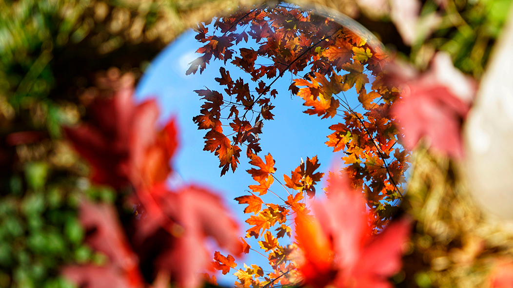恒峰g22 - 官方网站 -- 天天有惊喜